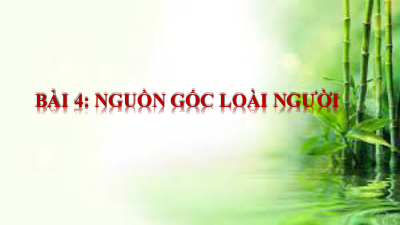 Bài 3: Nguồn gốc loài người | Bài giảng PowerPoint Lịch Sử 6 | Chân trời sáng tạo