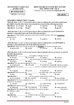 Đề thi HK1 Tiếng Anh 11 Quảng Nam 2019-2020( có đáp án)