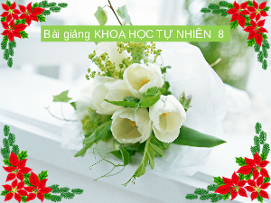 Giáo án điện tử Khoa học tự nhiên 8 Bài 42 Cánh diều: Cân bằng tự nhiên và bảo vệ môi trường