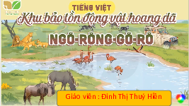 Giáo án điện tử  Tiếng Việt 4 KNTT -  Kết Nối Tri Thức:  Khu Bảo tồn động vật Ngô-Rông-Gô-rô.