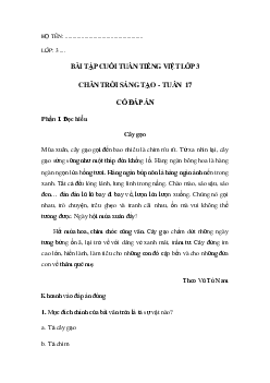 Bài tập cuối tuần tiếng Việt lớp 3 Chân trời sáng tạo Tuần 17 cơ bản