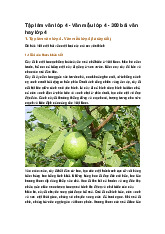 Tập làm văn lớp 4 - Văn mẫu lớp 4 - 300 bài văn hay lớp 4