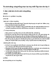 Tập làm văn lớp 5: Tả cảnh dòng sông Hồng