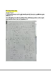 Tự Luận Vimo: Phân Tích Cung, Cầu và Thị Trường Cạnh Tranh| Microeconomics | Trường Đại học Quốc tế, Đại học Quốc gia Thành phố Hồ Chí Minh