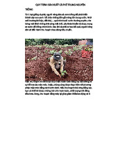 QUY TRÌNH SẢN XUẤT CÀ PHÊ TRUNG NGUYÊN - Hướng Dẫn Chi Tiết