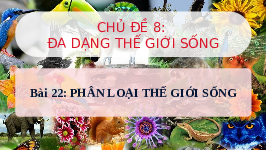 Giáo án điện tử Khoa học tự nhiên 6 bài 22 Chân trời sáng tạo : Phân loại thế giới sống