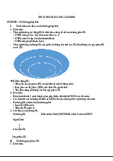 Ôn tập Chương 4: Hệ Thống Pháp Luật | Pháp Luật Đại Cương | Trường Đại học Hà Nội