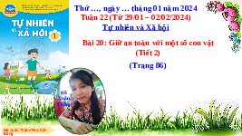 Giáo án điện tử Tự nhiên và xã hội 1 bài 20 Chân trời sáng tạo : Giữ an toàn với một số con vật