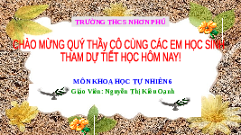 Giáo án điện tử Khoa học tự nhiên 6 bài 33 Chân trời sáng tạo : Đa dạng sinh học