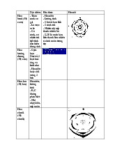 Đặc điểm Hoa Thức Hoa Đồ: Bưởi, Hướng Dương, Lan & Chuối
