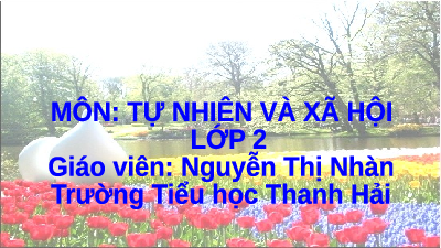Giáo án điện tử Tự nhiên và xã hội 2 Bài 1 Cánh diều: Các thế hệ trong gia đình