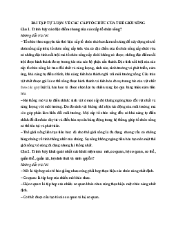 Bài tập Sinh học lớp 10: Các cấp tổ chức của thế giới sống