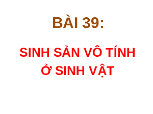 Giáo án điện tử Khoa học tự nhiên 7 bài 39 Kết nối tri thức : Sinh sản vô tính ở sinh vật
