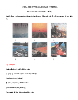 Giải bài tập SGK tiếng Anh lớp 9 Unit 6: THE ENVIRONMENT