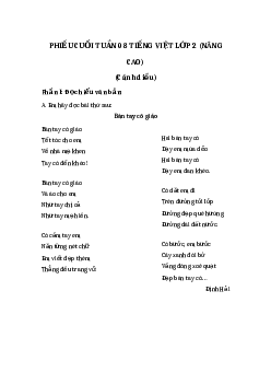 Phiếu Bài tập cuối tuần tiếng Việt lớp 2 học kì 1 |Cánh diều Tuần 8 nâng cao