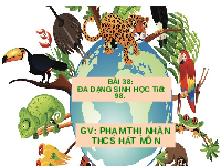 Giáo án điện tử Khoa học tự nhiên 6 bài 38 Kết nối tri thức : Đa dạng sinh học