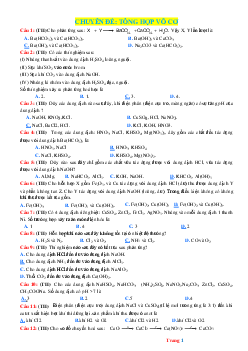 Chuyên đề tổng hợp vô cơ hóa học 12 (có đáp án)