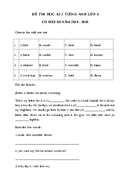 Đề thi tiếng Anh lớp 4 học kỳ 2 trường Tiểu học Nam Thái năm 2019 - 2020
