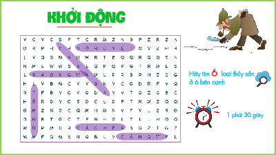 Bài 25 | Bài giảng PowerPoint môn Địa lí 10 | Kết nối tri thức với cuộc sống (Học kì II)