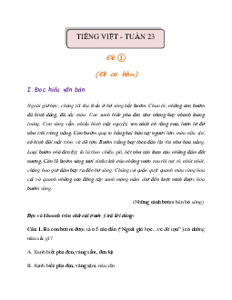 Bài tập cuối tuần lớp 3 môn Tiếng Việt Chân trời sáng tạo - Tuần 23 (Nâng cao)