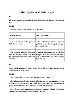 Sinh học 10 Bài 18: Chu kỳ tế bào sách Chân Trời Sáng Tạo