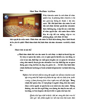 Hình thức nhà nước ( Mĩ) | Trường Đại học Kinh tế – Luật, Đại học Quốc gia Thành phố Hồ Chí Minh