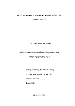 Tiểu luận kinh tế vi mô " Thực trạng cung cầu lao động của Việt Nam "