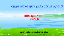 Giáo án điện tử Khoa học 4 Chân trời sáng tạo: Nguồn sáng và sự truyền ánh sáng