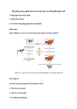 Giải Công nghệ 11 Bài 6: Ứng dụng công nghệ sinh học trong chọn và nhân giống vật nuôi | Kết nối tri thức