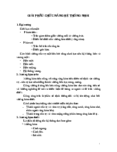 TÀI LIỆU GIẢI PHẪU CHỨC NĂNG HỆ THỐNG NHAI