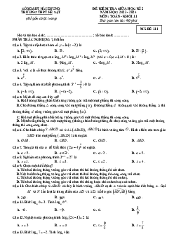 Đề thi giữa kỳ 2 Toán 11 năm 2023 – 2024 trường THPT Kẻ Sặt – Hải Dương