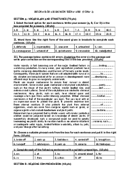 (Đáp án) Kì thi chọn đội tuyển chính thức dự thi HSG quốc gia lớp 12 THPT Đà Nẵng năm học 2020-2021 môn thi Tiếng Anh  -  Vòng 1 chính thức