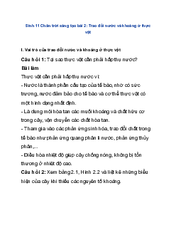 Sinh 11 Chân trời sáng tạo bài 2: Trao đổi nước và khoáng ở thực vật