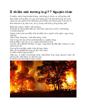 Nghiên cứu về Ô Nhiễm Môi Trường tại Việt Nam: Nguyên nhân và Hệ lụy