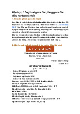 Mẫu hợp đồng thuê giám đốc, tổng giám đốc điều hành mới nhất