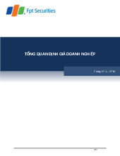 ĐỊNH GIÁ DOANH NGHIỆP (FPT SECURITIES)