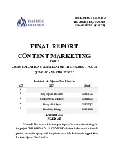 Communication Campaign Strategy | Final Report - Content Marketing