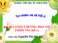 Giáo án điện tử Tự nhiên và Xã hội 2 Bài 30 Kết nối tri thức: Luyện tập ứng phó với thiên tai