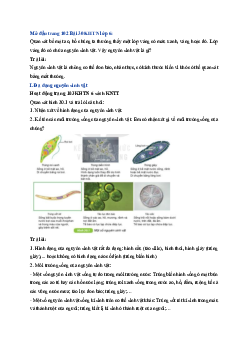 Giải Khoa học tự nhiên lớp 6 - bài 30: Nguyên sinh vật | Kết nối tri thức