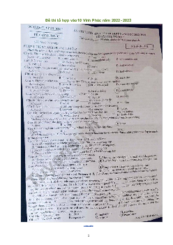 Đề thi vào 10 môn Tổ hợp năm 2023 - 2024 sở GD&ĐT Vĩnh Phúc