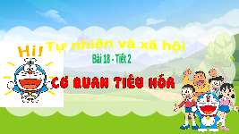 Giáo án điện tử TN&XH 3 Bài 18 Kết nối tri thức: Cơ quan tiêu hoá
