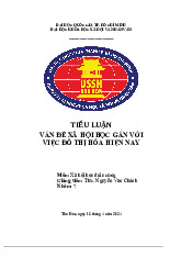 Tiểu luận Xã hội học đô thị và vấn đề đô thị hóa ở Việt Nam môn Xã hội học đại cương    - trường đại học Khoa học xã hội và nhân văn – Đại học quốc gia Thành phố Hồ Chí Minh.