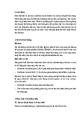Bài Tập Cá Nhân: Phân Tích Đạo Đức Về Phân Biệt Đối Xử Tại Trường Đại Học | Đạo đức kinh doanh | Đại học Kinh tế - Đại học Đà Nẵng