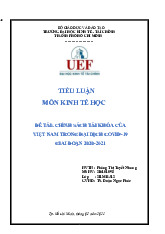 Tiểu luận đề tài: Chính sách tài khóa của Việt Nam trong đại dịch Covid-19 giai đoạn 2020-2021 môn Kinh tế học | Đại học Kinh tế Thành phố Hồ Chí Minh