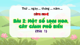 Giáo án điện tử Công nghệ 4 Bài 2 Tiết 1 Chân trời sáng tạo: Một số loại hoa, cây cảnh phổ biến