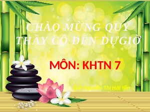 Giáo án điện tử Khoa học tự nhiên 7 bài 15 Kết nối tri thức : Năng lượng ánh sáng. Tia sáng, vùng tối