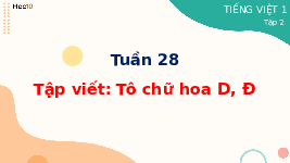 Giáo án điện tử Tiếng việt 1 Cánh diều: Tô chữ hoa D, Đ
