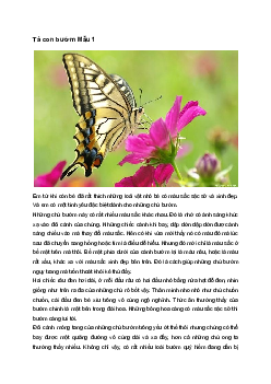 Tả con bướm | Tập làm văn 4