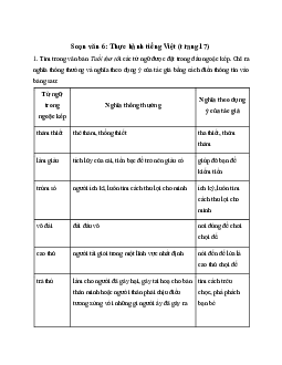 Soạn bài Thực hành tiếng Việt trang 17 - Chân trời sáng tạo 6