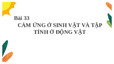 Giáo án điện tử Khoa học tự nhiên 7 bài 33 Kết nối tri thức : Cảm ứng ở sinh vật và tập tính ở động vật